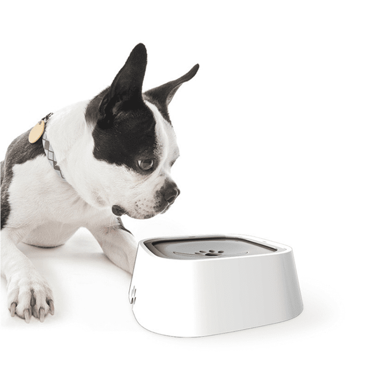 Smart Dog Bowl ES