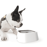 Smart Dog Bowl ES