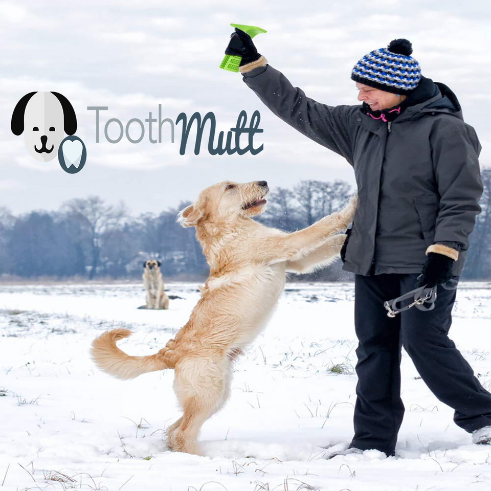 Tooth Mutt ES